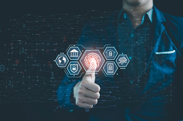 Custom Software Development